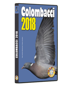 Colombacci 2018