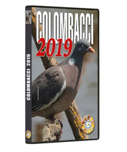 Colombacci 2019