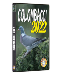 Colombacci 2022